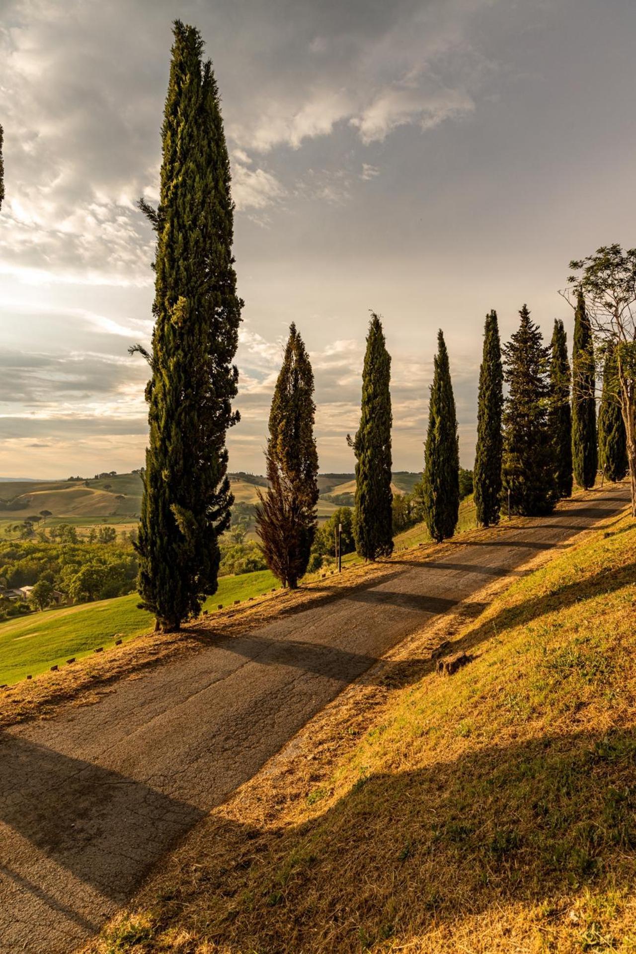 Agriturismo Percenna Buonconvento Eksteriør bilde