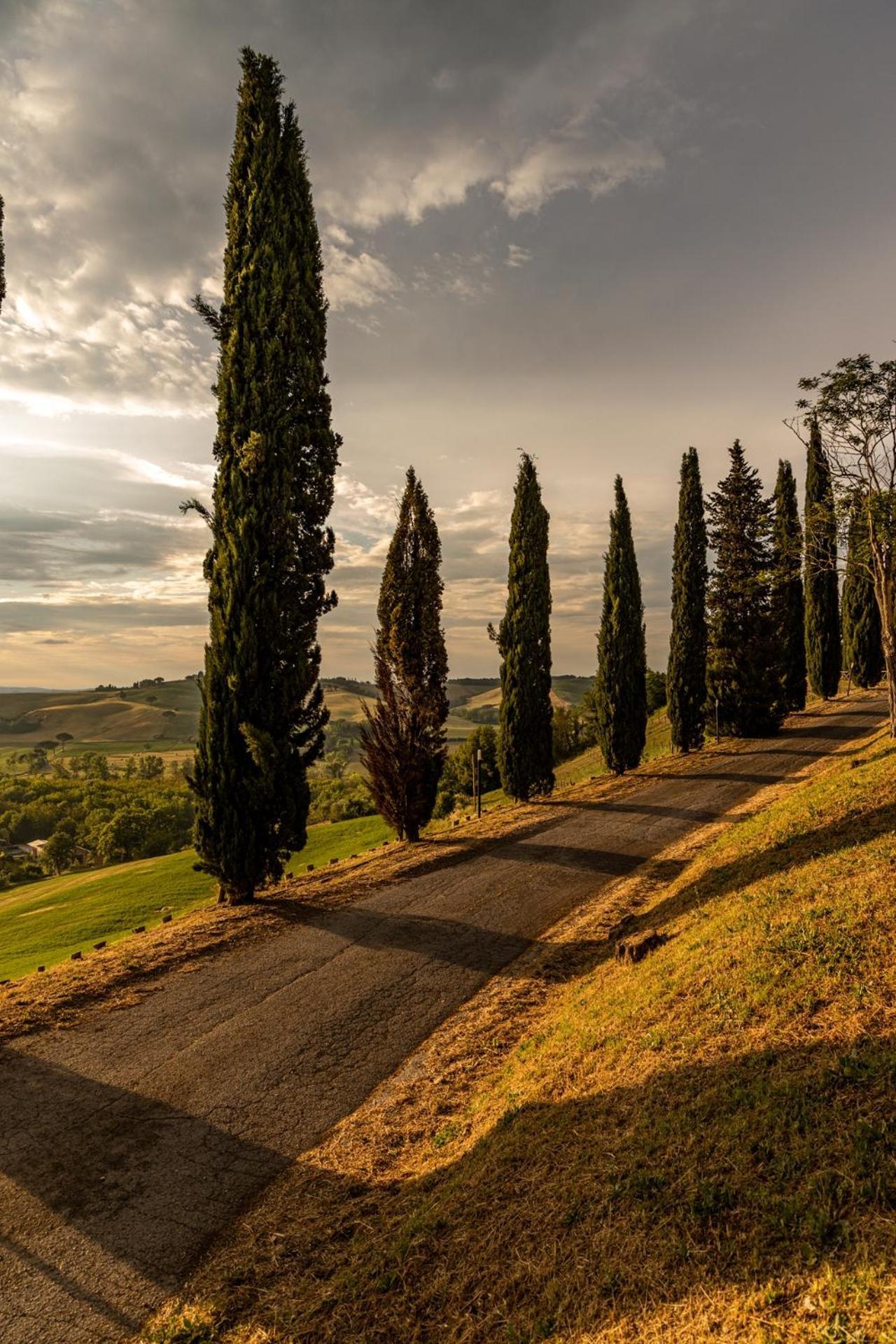 Agriturismo Percenna Buonconvento Eksteriør bilde