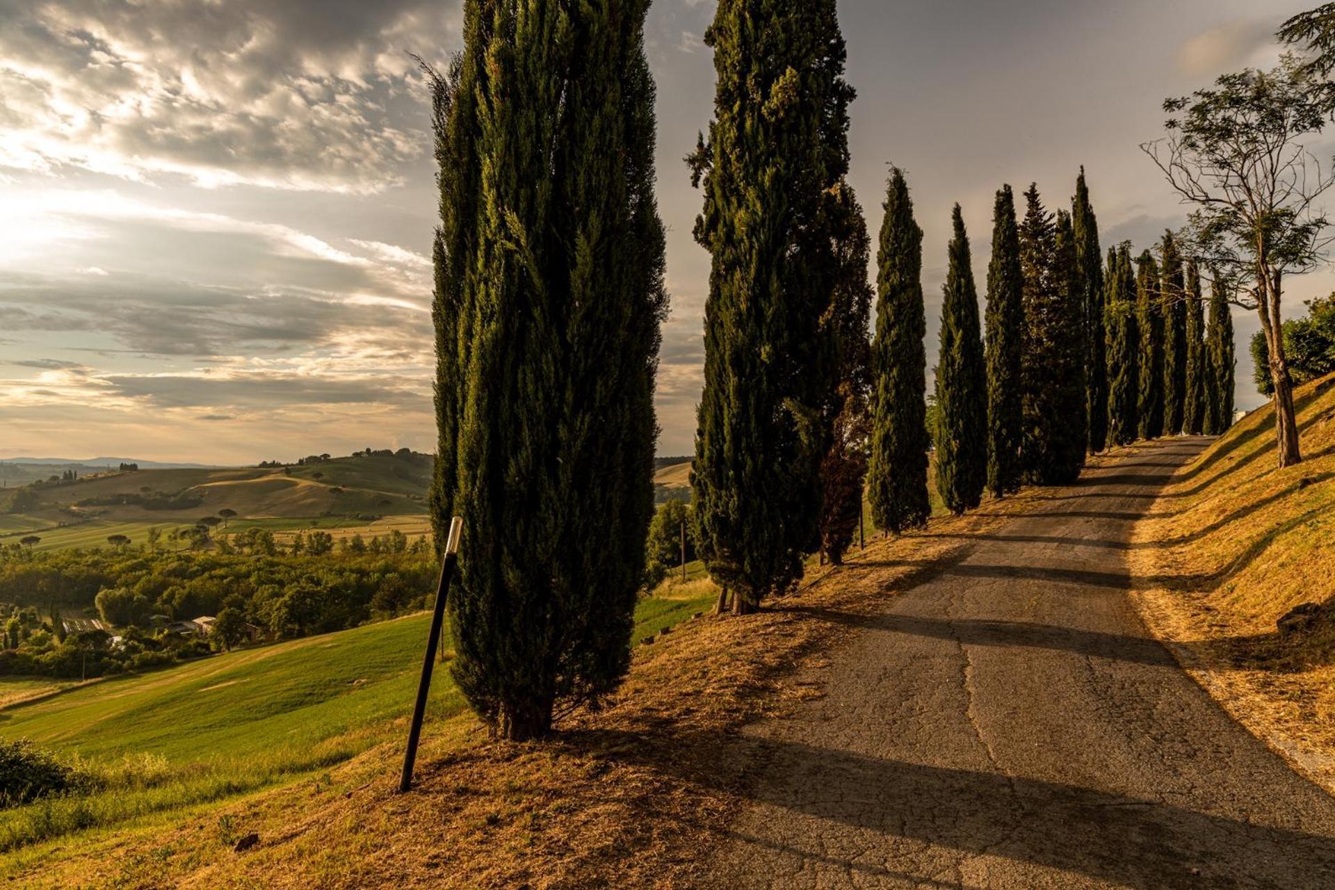 Agriturismo Percenna Buonconvento Eksteriør bilde